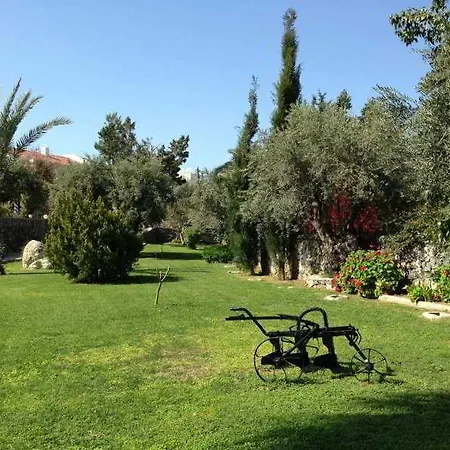 Отель Sammy's Kyrenia Boutique & Pool
